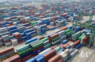 进出口货物整合申报新政正式实施 南沙自贸片区通关有这些变化